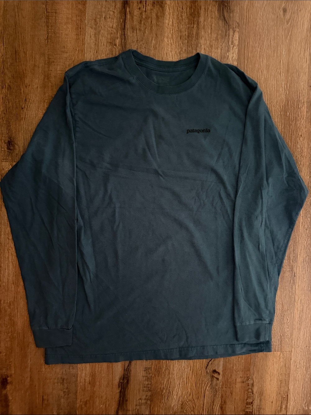 Men’s large Patagonia Long-Sleeve Tee in dark blue/green